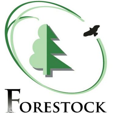 Forestock_logo_570x611_page-0001